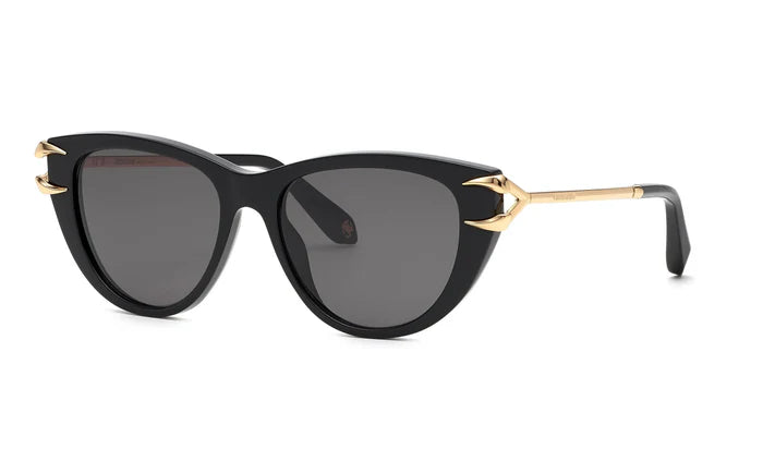 Roberto Cavalli RC 031  0700  Black/Gry