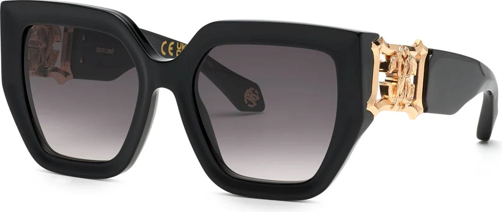 Roberto Cavalli RC 089 0700 BLK/GRY